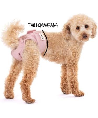 Shop Lills Fuse Pants for Bitches - Organic Cotton Washable Extra Absorbent Flexible Closure | XS to XXL - Pink Berry (33-45cm Waist) - Buy Online on GoSupps.com