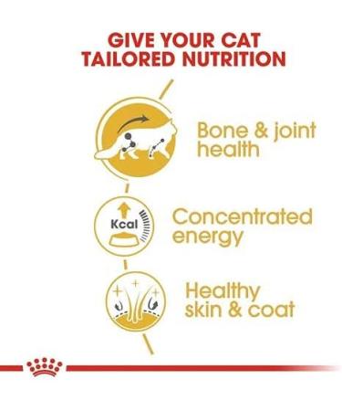 Royal Canin Maine Coon Adult 4.0 kg - Buy Online on GoSupps.com