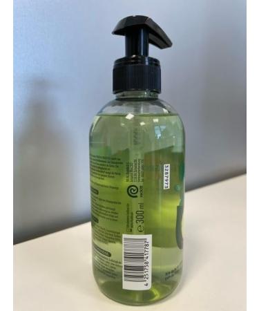  Sagrotan Sagrotan Fresh and Fruity Hand Soap - Moisturizing Liquid Soap with a Fruity Scent - 5 x 300 ml Hand Soap - Buy Online on GoSupps.com