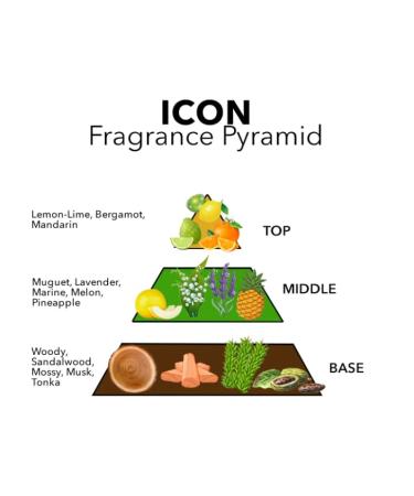 Pete & Pedro ICON - Eau De Parfum | Inspired By Creed Imperial Millesime For Men - Citrus Fruity Marine Accord Notes | Men's Cologne & Fragrance | As Seen on Shark Tank 1.7 oz. ICON edp - Buy Online on GoSupps.com