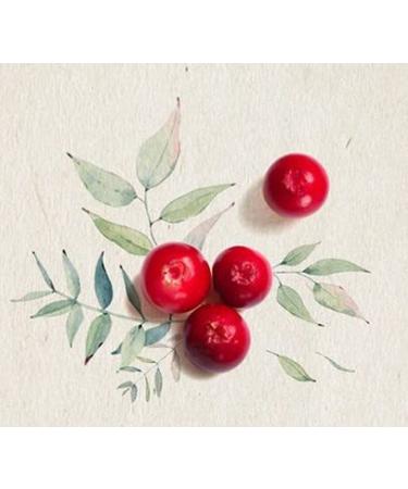 Happy Bath Soapberry Pure All Green Cleansing Foam 150g - Natural Deep Cleanser for Radiant Skin | Buy Internationally - Buy Online on GoSupps.com