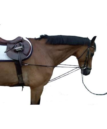 paw-and-hoof Triangle reins Viennese reins Running reins Thoroughbred/Warmblood