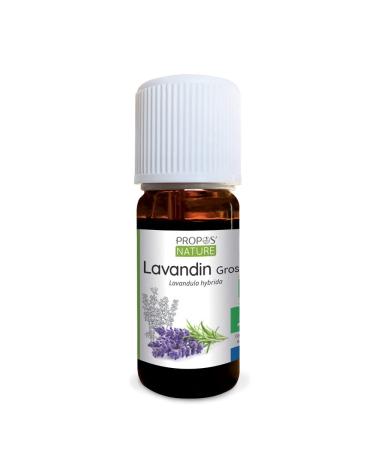 He lavandin Grosso from* 10ml