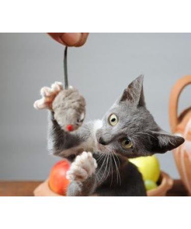 cat Fish Oil Chews - Omega 3 - for Cats - Heart Brain and Joint Function - SOFTGELS - Omega 3 for Cats - 2 Bottle (360 SOFTGELS) - Buy Online on GoSupps.com