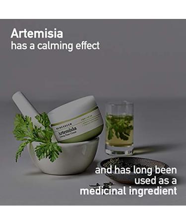 BRING GREEN Artemisia Calming Repair Cream - Redness Relief & Hydrating Sensitive Skin | Soothing Daily Skincare Routine | Intensive Moisturizer for Oily Skin - 2.53 fl.oz - Buy Online on GoSupps.com