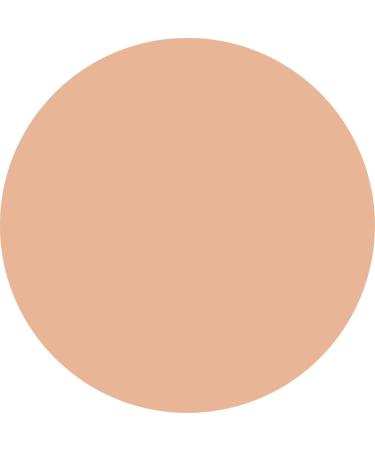 WYCON cosmetics Everyday Wear Liquid Concealer liquid with semimatte finish NW25 - Buy Online on GoSupps.com
