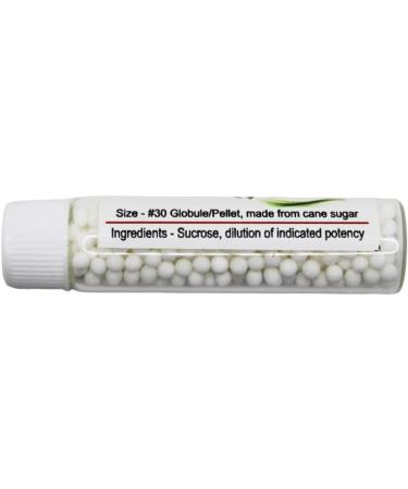 Buy Sepia Homeopathy Pellets 200C - Pack of 3 | Fast International Shipping - Buy Online on GoSupps.com