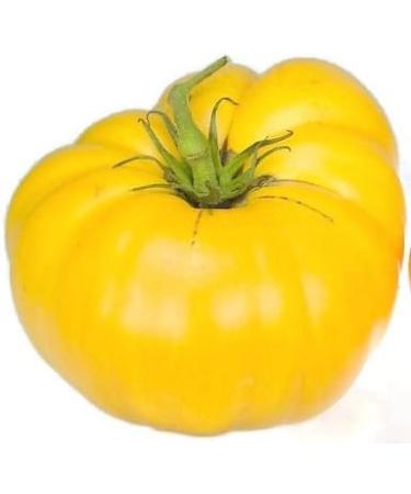50CT dei semi del pomodoro Giallo Brandywine Giallo pomodori Non-OGM Pomodori - Buy Online on GoSupps.com