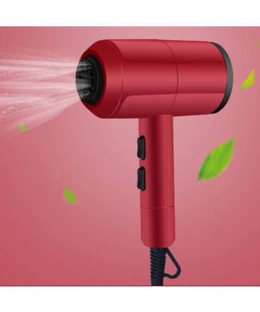JYYBN Hair Dryer Powerful Salon 2000W Professional Hairdryer Negative Ionic Technology AC Motor Blow Dryer with 3 Heat 2 Speed Settings Fast Drying for Men and Women Home and Salon - Buy Online on GoSupps.com