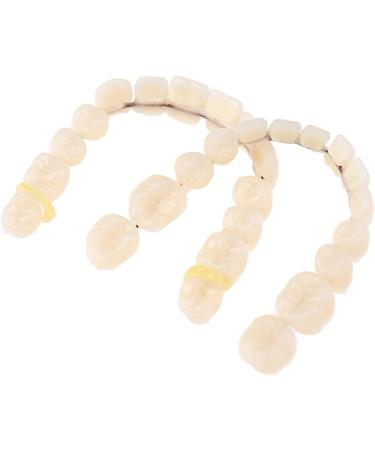 Buy High-Quality Resin Teeth & Preformed Dentures for Optimal Oral Care - International Shipping Available - Buy Online on GoSupps.com