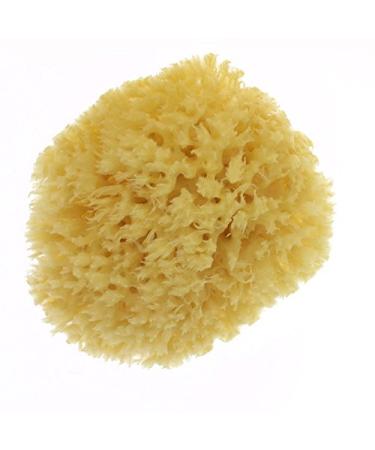 Natural Mediterranean Bath Sponge - Kosmetex (12 cm) - Eco-Friendly | Shop Now for Quality & Size Variety - Buy Online on GoSupps.com
