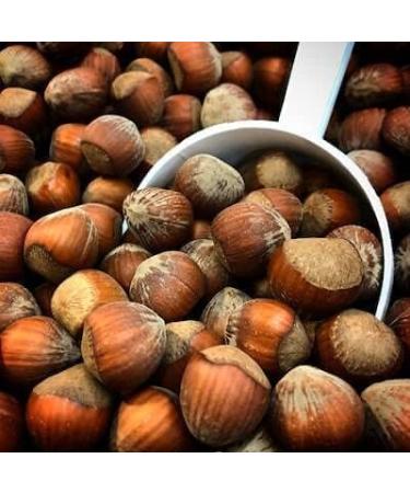 Kamelur Hazelnuts in shell from Italy - High quality whole & unshelled hazelnuts - in biodegradable packaging - 1kg - Buy Online on GoSupps.com
