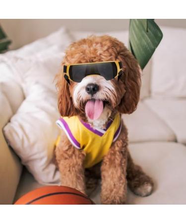 Petleso UV Protection Glasses for Small Dogs - Wind & Eye Protection Sunglasses for Motorcycle & Dog Bike Basket - Buy Online on GoSupps.com