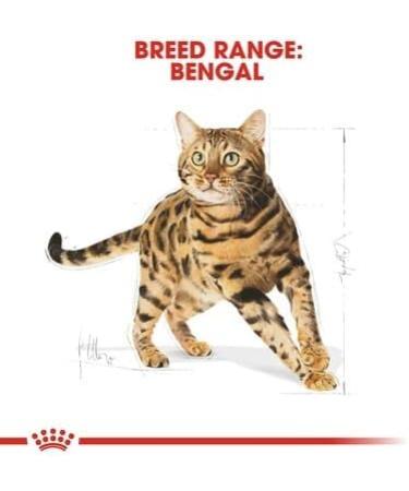 Royal Canin Bengal Cat Food 10 kg - Buy Online on GoSupps.com