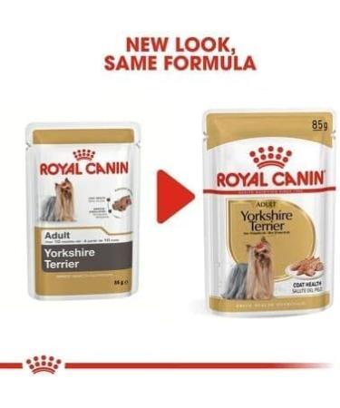 Royal Canin Yorkshire Terrier Wet Dog Food Pouches 48 x 85g - Buy Online on GoSupps.com