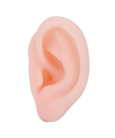 Silicone Ear Model Soft Silicone Simulated Soft Ear Model Flexible Right Ear Model for Pharmacy Hospital Display