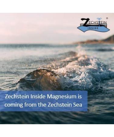 Magnesium Gel Best Topical Magnesium Chloride Gel for Dermal Skin Absorption Direct from The Netherlands Zechstein Sea - Supports Skin and Muscle Recovery (1.32Gal/5L) 1 Count (Pack of 1) - Buy Online on GoSupps.com