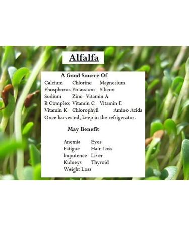 JOKE Alfalfa Grass Juice Powder 100 gm - Buy Online on GoSupps.com