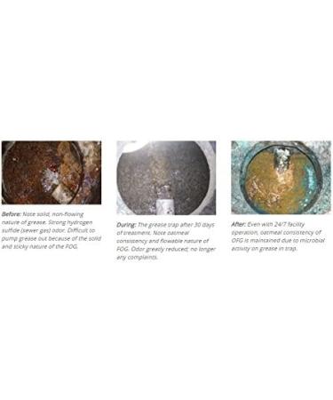 Black Diamond Stoneworks GET SERIOUS Grease Trap Treatment Commercial Enzyme Drain Opener  Cleaner  Odor Control  Trap Cleaning and Maintenance. 1-Gallon - Buy Online on GoSupps.com