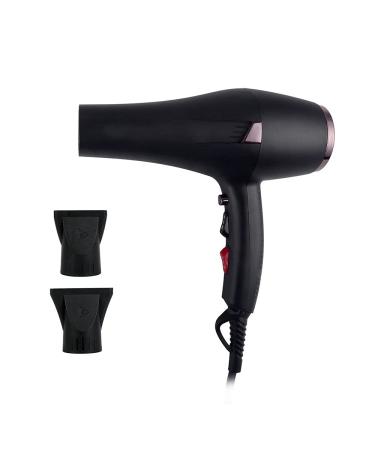Professional Hair Dryer 2400W AC Motor Negative Ionic Technology Blow Dryer with 3 Heat & 2 Speed Setting and Cool Shot Button Concentrator Nozzle Included Fast Drying for Men and Women Small Gift