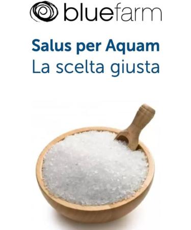 BLUE FARM | Active Spa Crystals Salts 3.800 gr: Large crystals of salts from the Dead Sea in a bucket - Buy Online on GoSupps.com