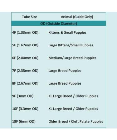 4 French Sterile Tube Feeding Kit Milk Syringes Whelping Pup Kitten Sml Animal - Buy Online on GoSupps.com
