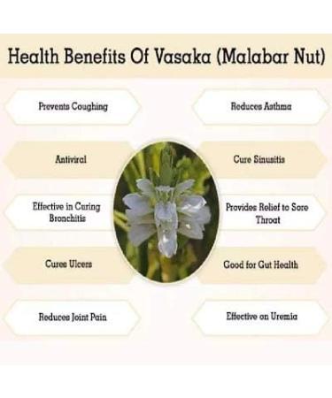 nalAmudhu Adathodai Podi | Vasaka Powder | Adhatoda | Adusa | 100g - Buy Online on GoSupps.com