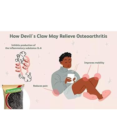 JJ Herbe veda - Devil's Claw 200g | Bat Head Root | Devil's pod | Vampire Root for puja - Buy Online on GoSupps.com