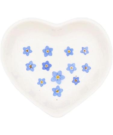 YUNZHI Forget Me Not Flowers - Dried Pressed Flowers for Resin, Candle, Soap Making - 40pcs/Pack - Buy Online on GoSupps.com