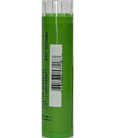 Herpes Zoster 30CH Homeopathy Medicine Schmidt-Nagel Canada (Homeodel) 90 pellets/granules - Buy Online on GoSupps.com