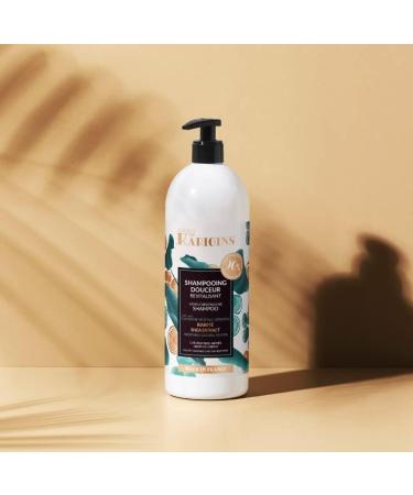 KAIRLY/KARIGINS - Gentle Revitalizing Shampoo - Facilitates styling & Sublimates dry hair - 1L - Buy Online on GoSupps.com