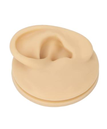 Human Ear Model Left Ear Soft Lifelike Fake Ear Model for Teaching Demonstration - Buy Online on GoSupps.com