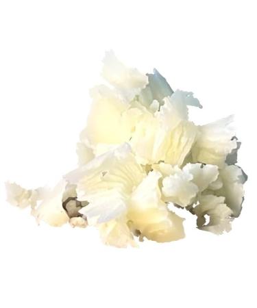Natural Tallow Lip Salve | Nourishing & Hydrating | International Shipping - Buy Online on GoSupps.com
