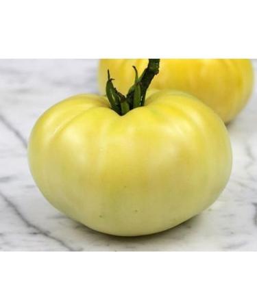 30 Wonder Tomato Cromoruto 2018 (All Non-ogm semi-cimel Vegetable!) - Buy Online on GoSupps.com