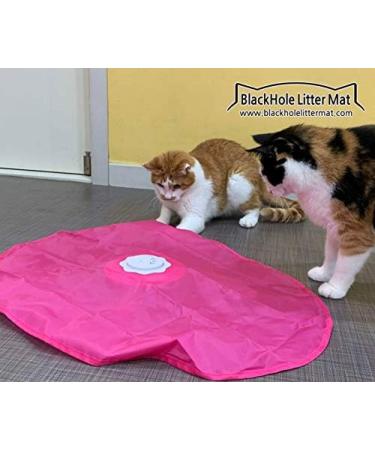 Blackhole Catch The Tail Cat Toy Interactive Play-Catch Electric Rotating Feather Motion Automatic Best Undercover Mouse Under Blanket Cat Toy - Buy Online on GoSupps.com