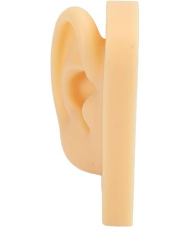 Silicone Ear Model Lifelike Artificial Silicone Ear Model Simulation Elastic for Display (Right) - Buy Online on GoSupps.com