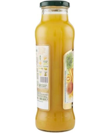  Italian Gourmet E.R. Yoga il Centrifugato con Zenzero Fruit Concentrate with Ginger Pineapple Kiwi and Cucumber Fruit Juice without Added Sugar 680 ml Glass Bottle + 400 g Bottle - Buy Online on GoSupps.com
