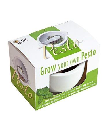 Mortar and Organic Pesto Set