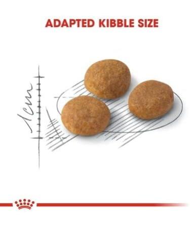 Royal Canin Exigent Aroma Dry Cat Food 2kg - Buy Online on GoSupps.com