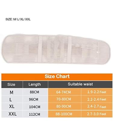 Adjustable Neoprene Lende Vertebrae Belt - Pain Relief & Posture Correction | Black XX Large Lower Back Support - Buy Online on GoSupps.com