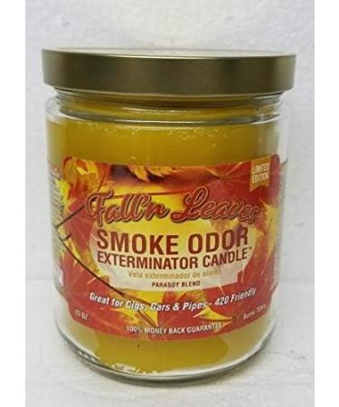 Smoke Odor Exterminator 13oz Jar Candles - Fall N Leaves (2 Pack) | International Shipping Available - Buy Online on GoSupps.com