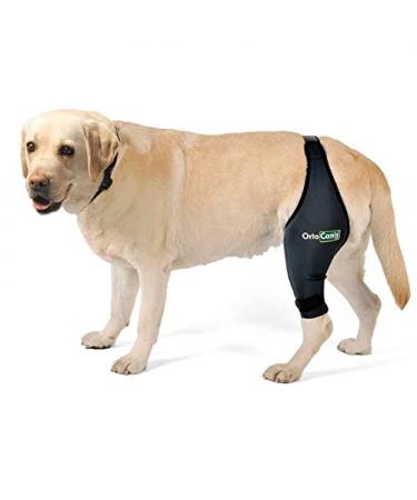 Ortocanis - Knee Brace for Dogs with Cruciate Ligament Injuries, Patella Dislocation or Osteoarthritis, L, Left Leg Left leg Size Large