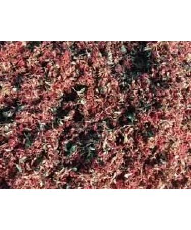  Neel Ayurvedics Neel Ayurvedics Dhavdi Phool | Dhawai Phool Powder - 300 GM - Buy Online on GoSupps.com