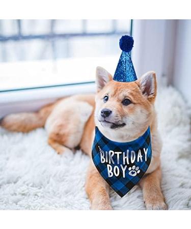 Kuou Dog Birthday Bandana - Cute Boy Pet Birthday Party Supplies in Blue - Buy Online on GoSupps.com