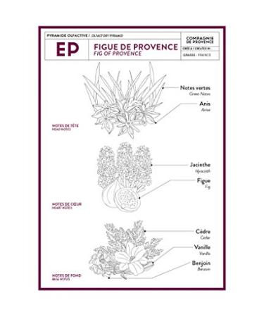 Compagnie de Provence Fig of Provence Liquid Soap - 16.7 Fl Oz Glass Pump Bottle - Buy Online on GoSupps.com