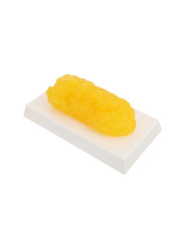 ULTECHNOVO 2pcs Fat Model Plastic Demonstration Device Plastic Anatomical Fat Birthday Headband Body Fat Module