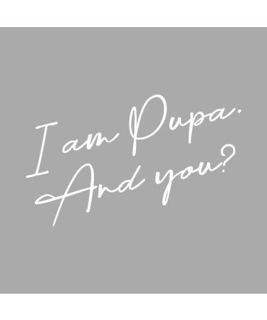 Pupa BB Cream Plus Anti-Eta' N.002 Sand - Anti-Aging Formula - Buy Online on GoSupps.com