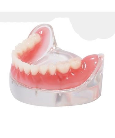 COMDS Dental implant model removable dentures models for dental diseases dentures model with 4 nail implants for demonstrating the study lesson