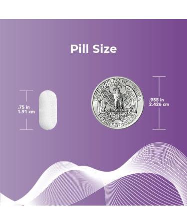 Companion Daily Multivitamin Supplement for Men & Women 50+ | Iron-Free with Vitamin K & D | 90-Day Supply | USA Made - NSF Certified - Buy Online on GoSupps.com