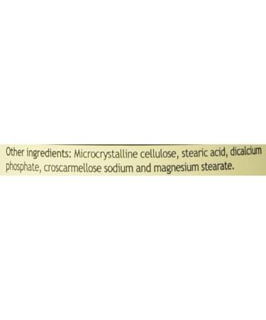 Magnesium Gluconate 500 Mg 90 Tb - from Windmill (Pack of 2) - Buy Online on GoSupps.com